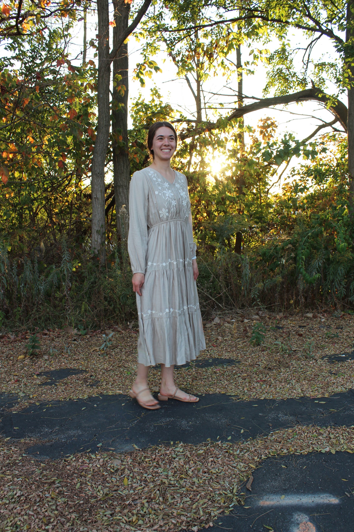The Embroidered Cream Dress