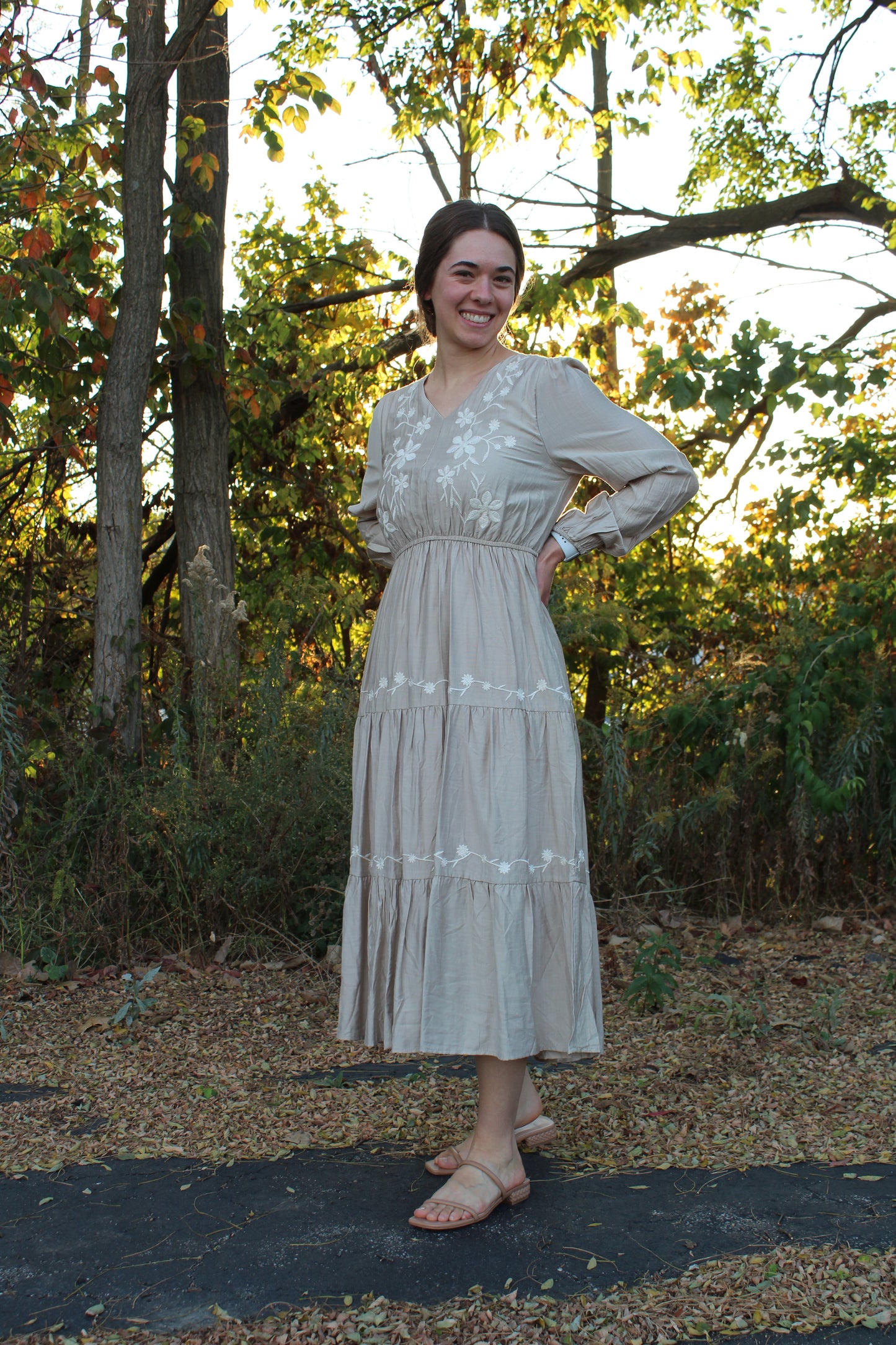 The Embroidered Cream Dress