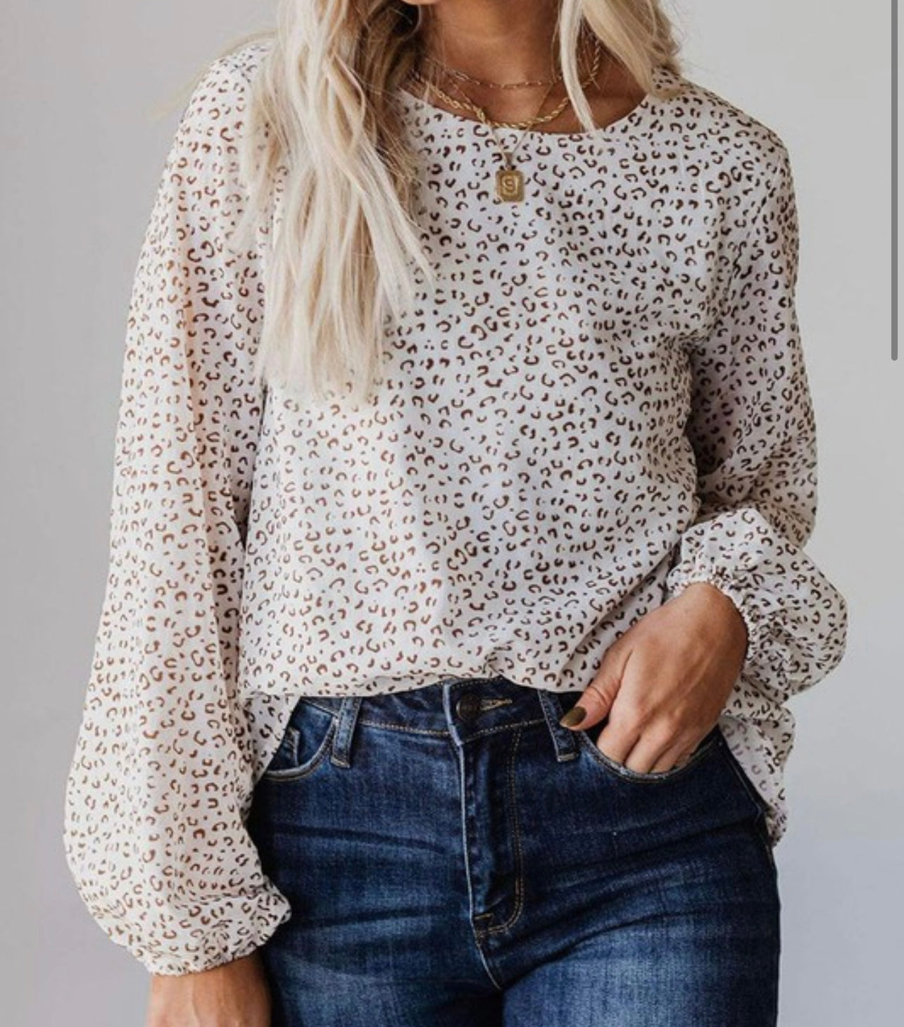 Leapord Print Long Sleeve Blouse